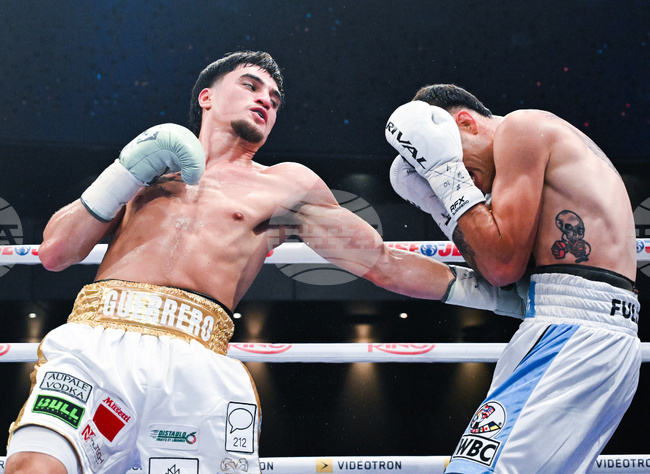 Guerrero Herrera Boxing