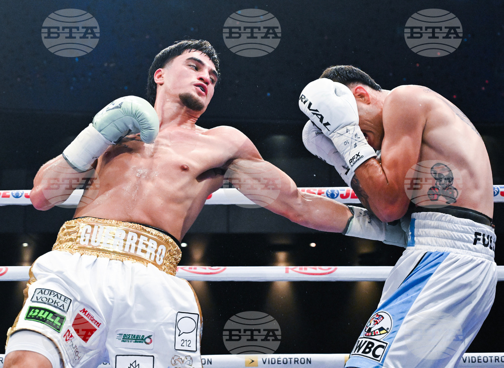 Guerrero Herrera Boxing