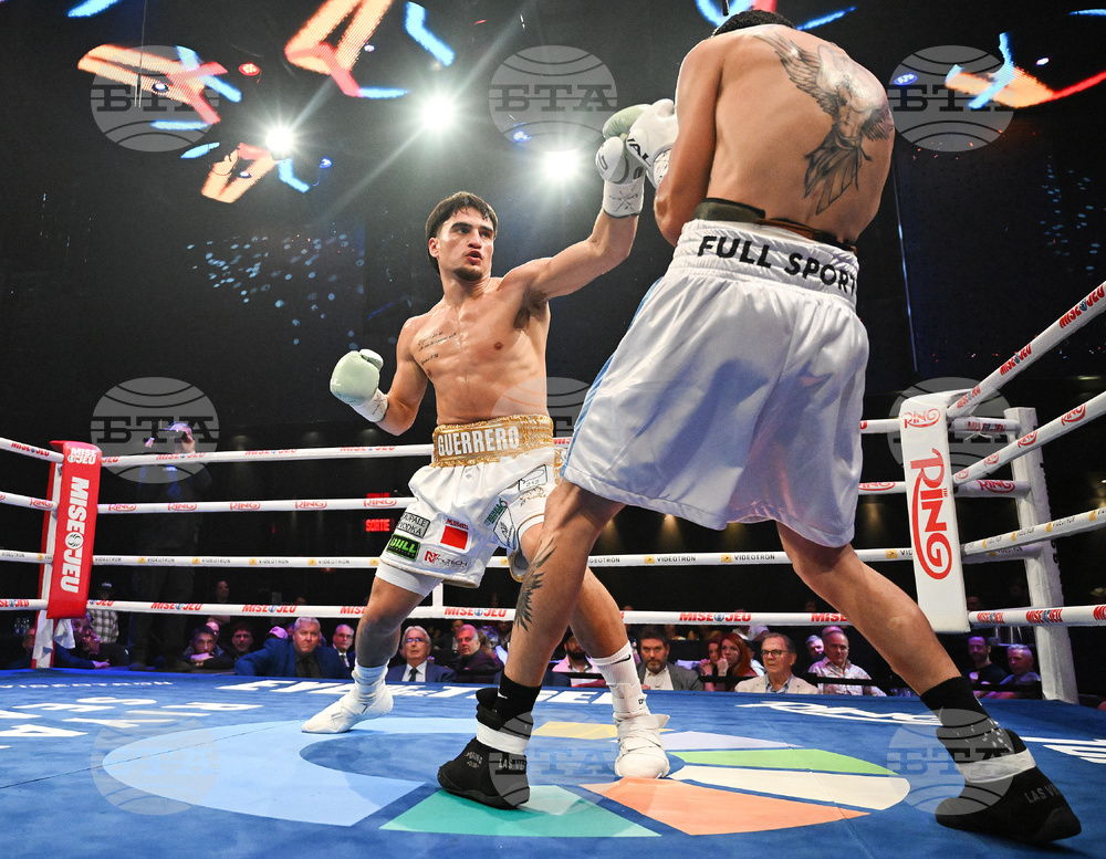 Guerrero Herrera Boxing