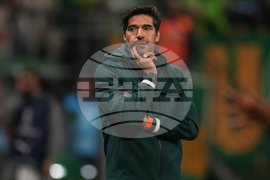 Brazil Ecuador Soccer Copa Libertadores