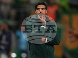 Brazil Ecuador Soccer Copa Libertadores