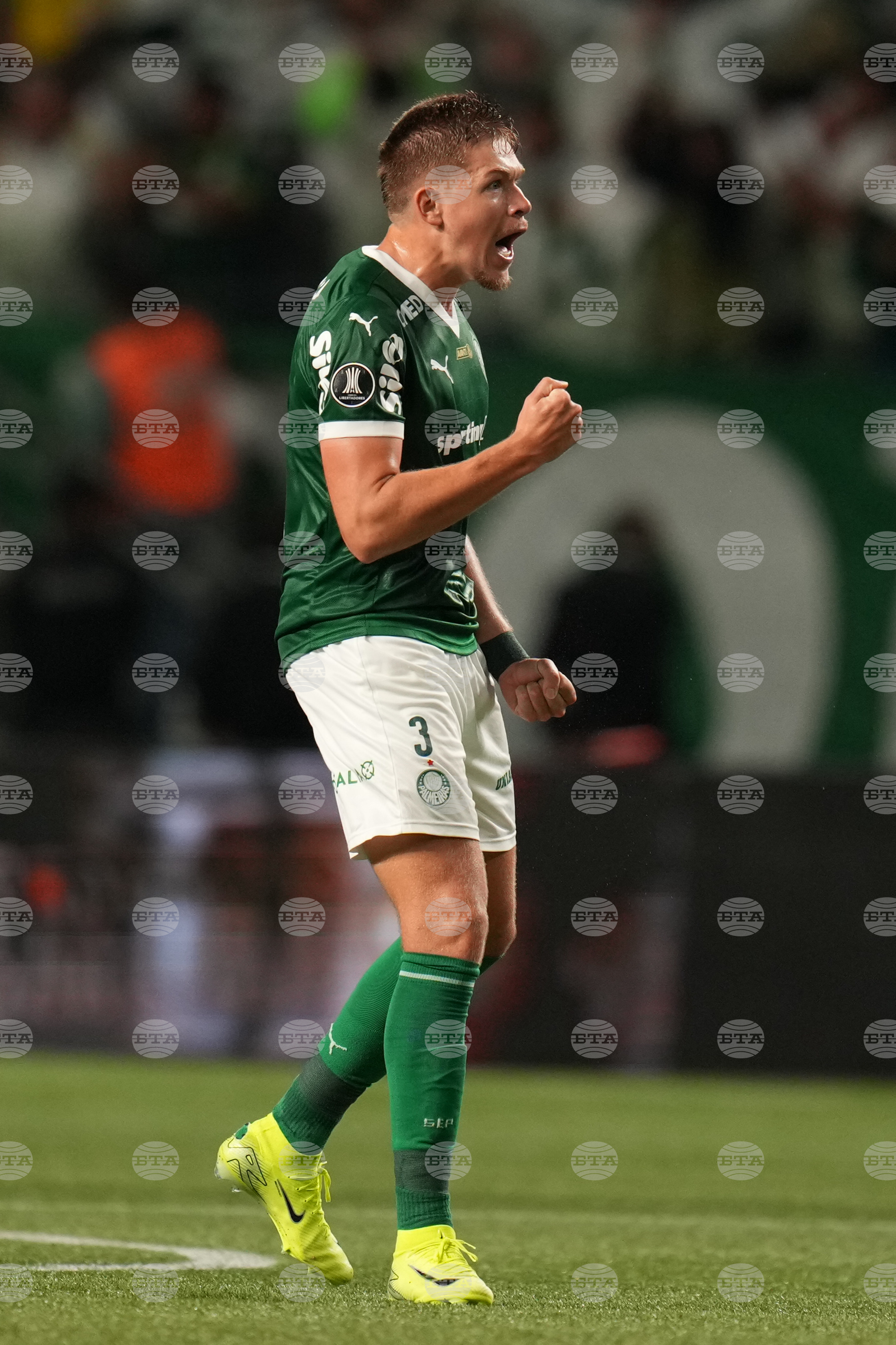 Brazil Ecuador Soccer Copa Libertadores