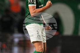 Brazil Ecuador Soccer Copa Libertadores