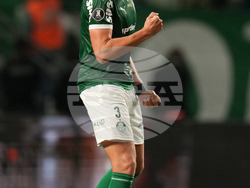 Brazil Ecuador Soccer Copa Libertadores