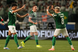 Brazil Ecuador Soccer Copa Libertadores