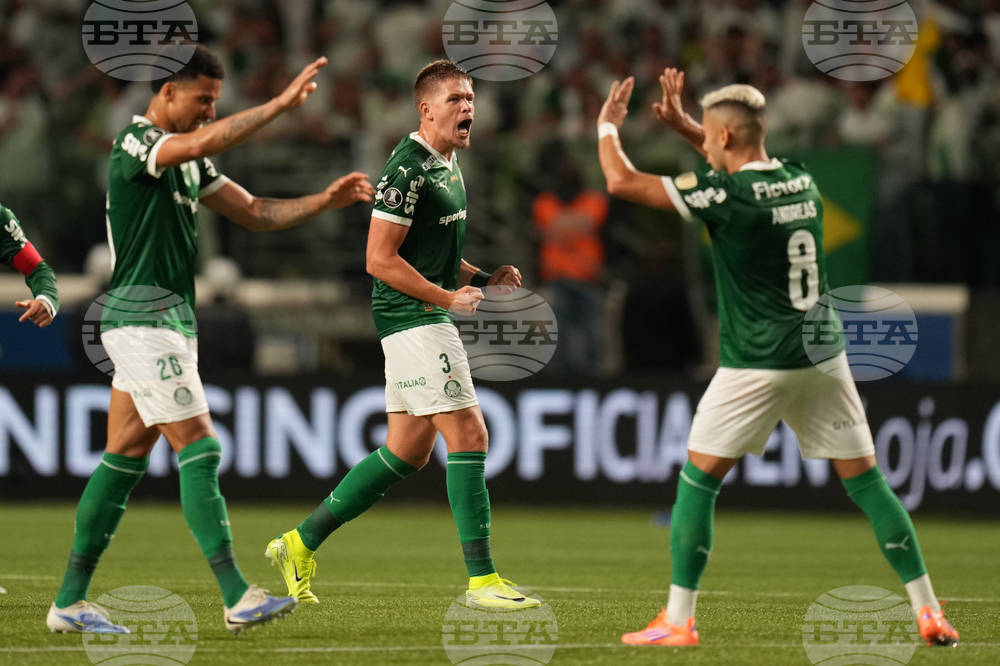 Brazil Ecuador Soccer Copa Libertadores