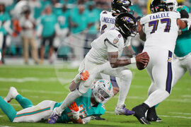 Ravens Dolphins Football