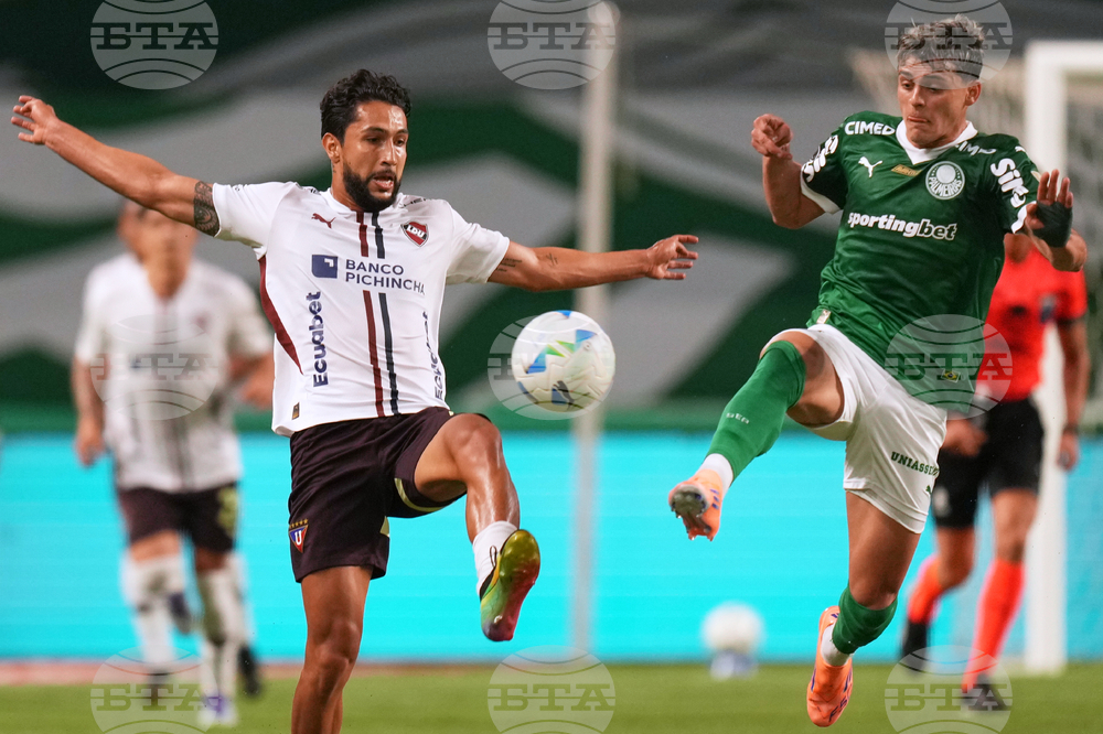 Brazil Ecuador Soccer Copa Libertadores