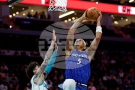 Magic Hornets Basketball