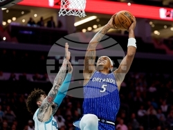 Magic Hornets Basketball