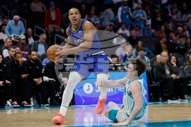 Magic Hornets Basketball