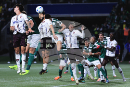 Brazil Ecuador Soccer Copa Libertadores