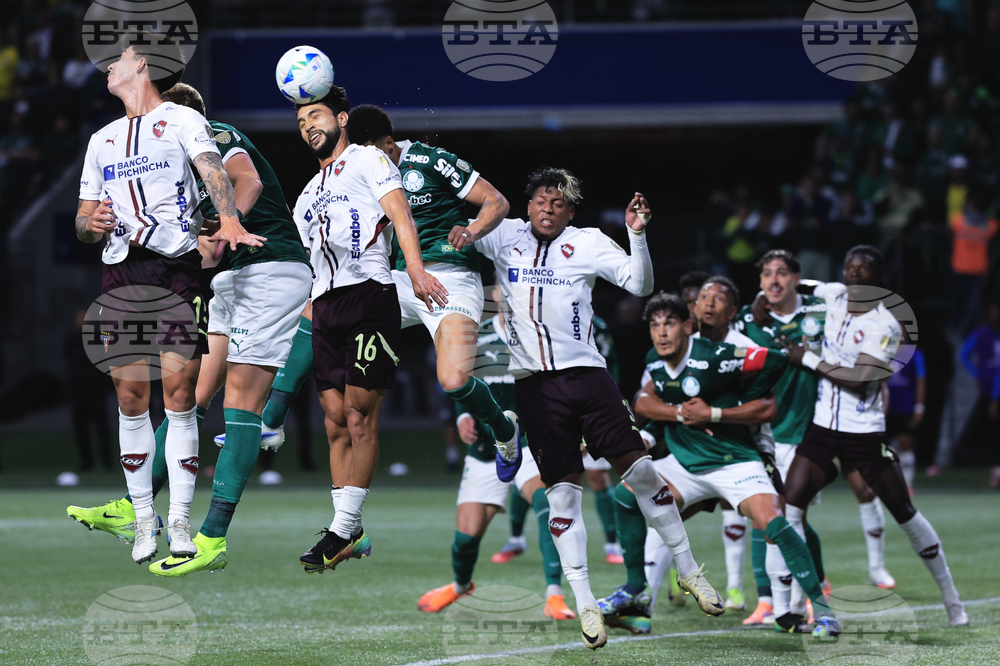 Brazil Ecuador Soccer Copa Libertadores