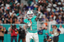 Ravens Dolphins Football