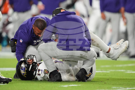 Ravens Dolphins Football