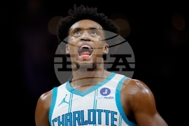 Magic Hornets Basketball