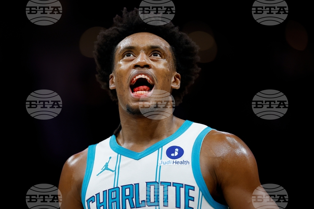 Magic Hornets Basketball