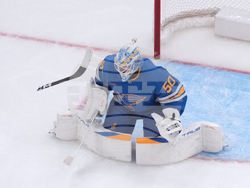 Canucks Blues Hockey