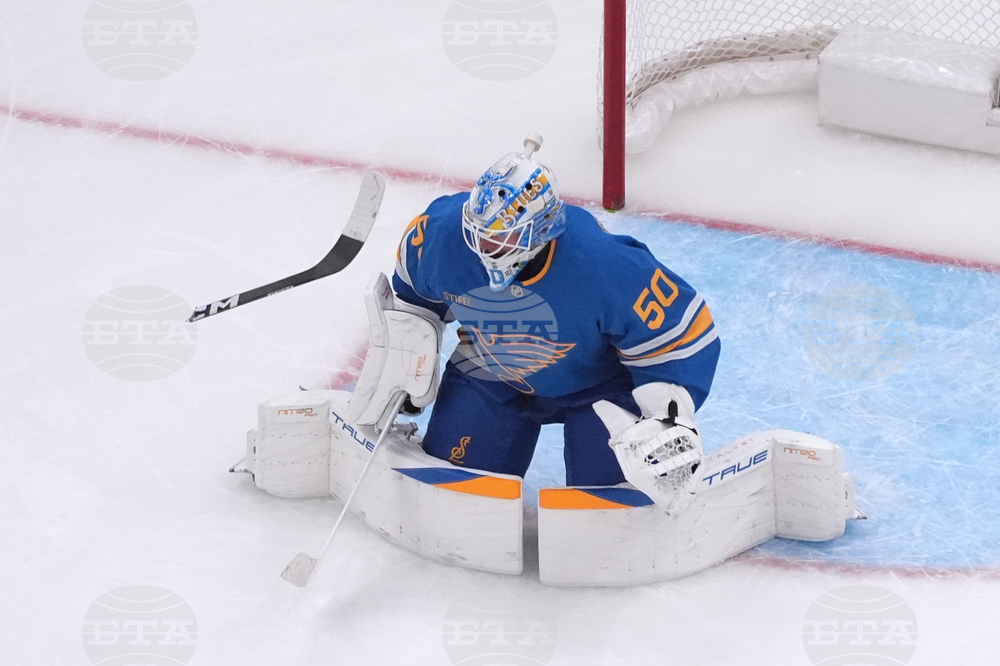 Canucks Blues Hockey