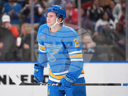 Canucks Blues Hockey