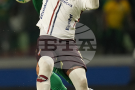 Brazil Ecuador Soccer Copa Libertadores