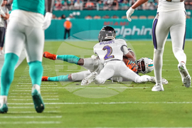 Ravens Dolphins Football