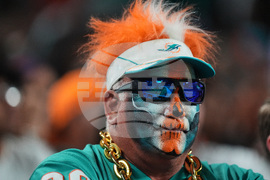 Ravens Dolphins Football