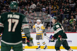 Penguins Wild Hockey