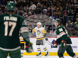 Penguins Wild Hockey