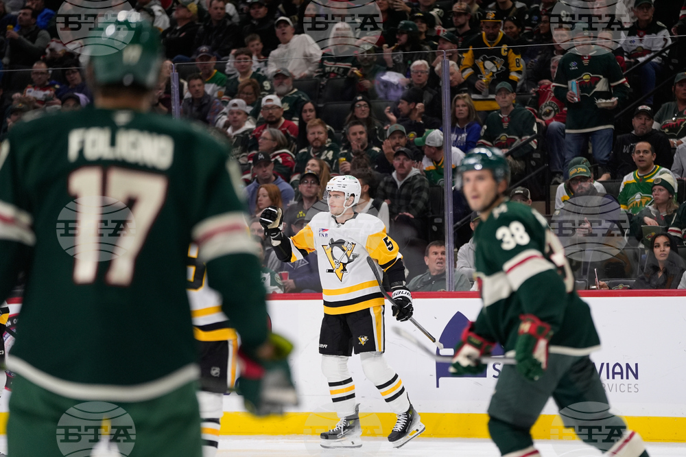 Penguins Wild Hockey