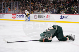 Penguins Wild Hockey