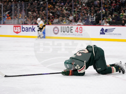 Penguins Wild Hockey