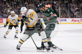 Penguins Wild Hockey