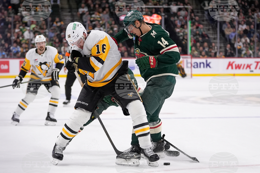 Penguins Wild Hockey