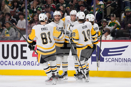 Penguins Wild Hockey