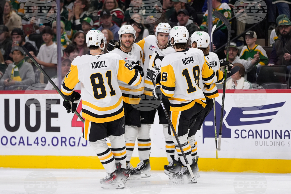 Penguins Wild Hockey