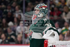 Penguins Wild Hockey