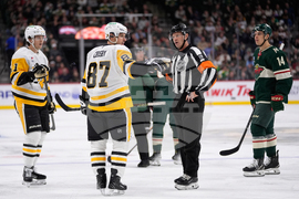 Penguins Wild Hockey