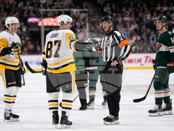 Penguins Wild Hockey