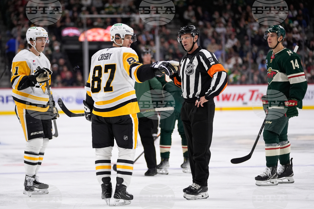 Penguins Wild Hockey