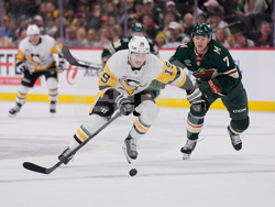 Penguins Wild Hockey