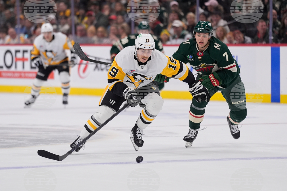 Penguins Wild Hockey