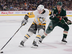 Penguins Wild Hockey