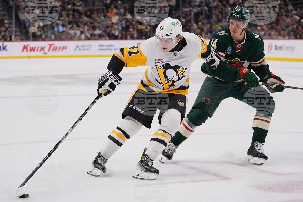 Penguins Wild Hockey