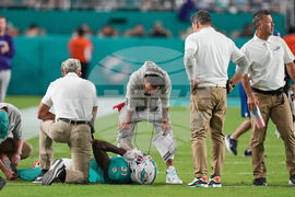 Ravens Dolphins Football