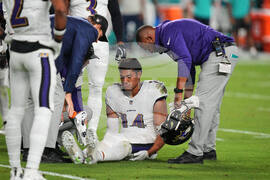 Ravens Dolphins Football