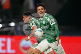 Brazil Ecuador Soccer Copa Libertadores