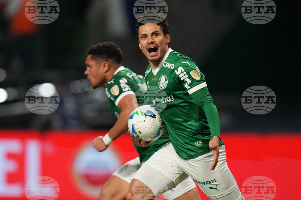 Brazil Ecuador Soccer Copa Libertadores