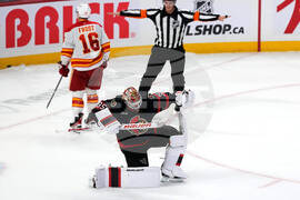 Flames Senators Hockey