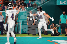 Ravens Dolphins Football